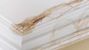 Ceiling with water stains just above the crown molding