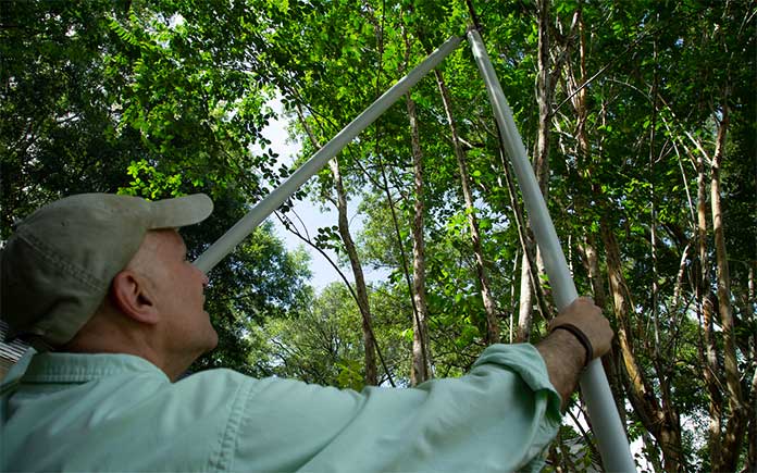 “Today’s Homeowner” Simple Solution host Joe Truini trims hard-to-reach tree branches.